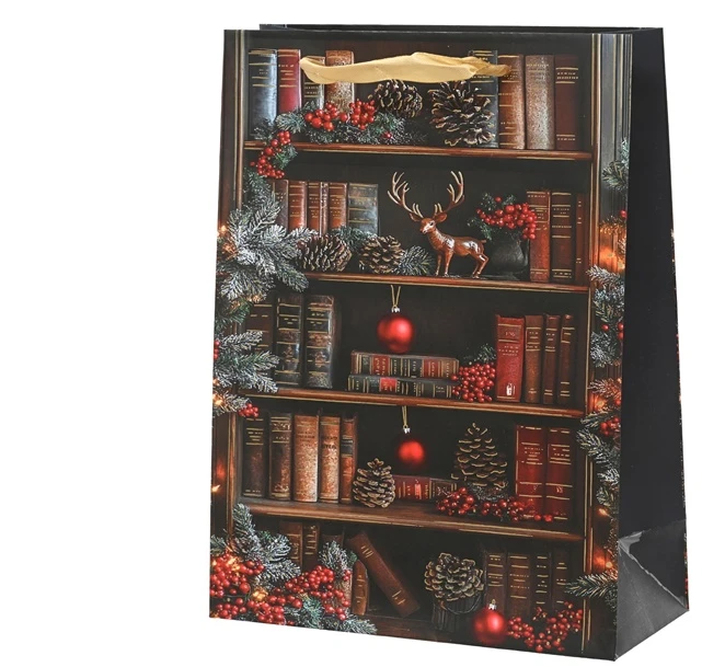 Party Deco Gift bag Decoris Books. 10 cm x 32 cm x 26 cm