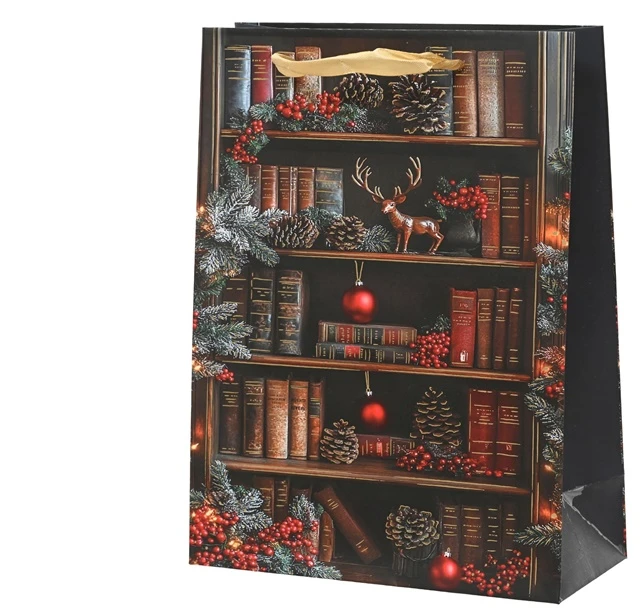 Party Deco Gift bag Decoris Books. 8 cm x 24 cm x 18 cm