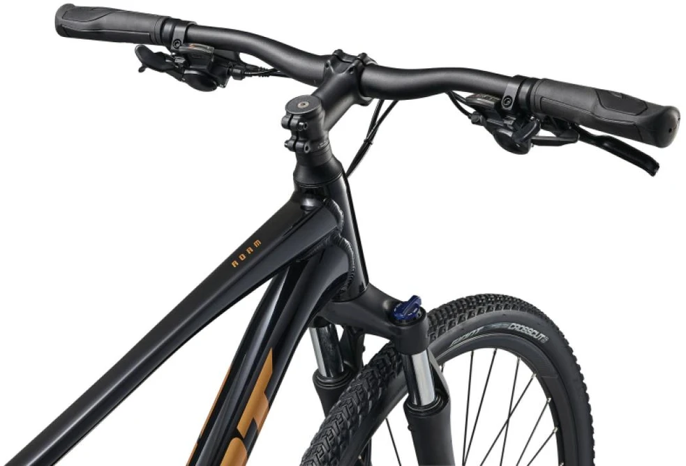 None Dviratis GIANT Roam 4, juodas, M,