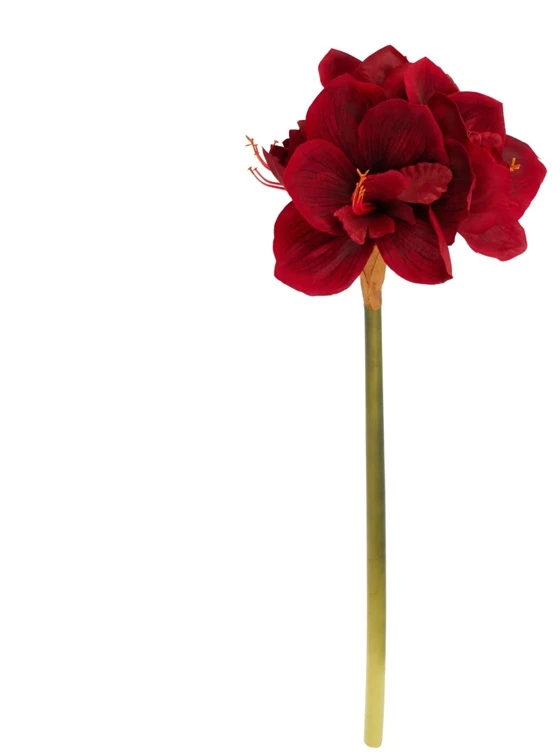 None Nežinomas GĖLĖ DIRBTINĖ PL8000120 66CM 2 DIZAINAI
