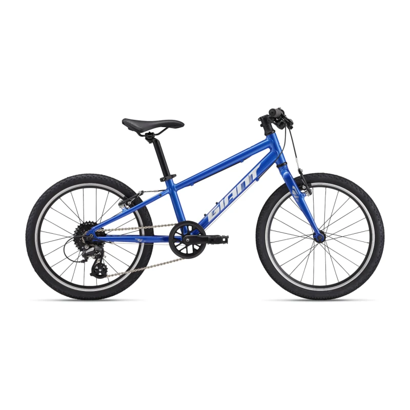 None Vaikiškas kalnų dviratis Giant ARX 24 | Cobalt (2025 m.)