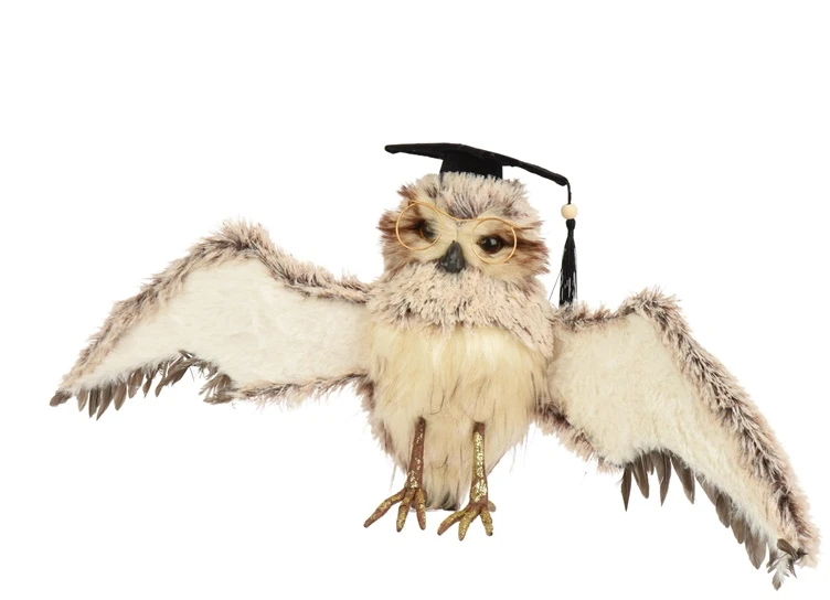 None Nežinomas Kalėdinė dekoracija Decoris Owl 704628, 28 cm, ruda