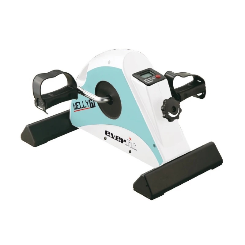 Dviratis treniruoklis EVERFIT mini WELLY-S