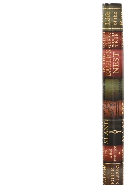 None Nežinomas Pakavimo popierius Decoris Books, 70 cm x 200 cm