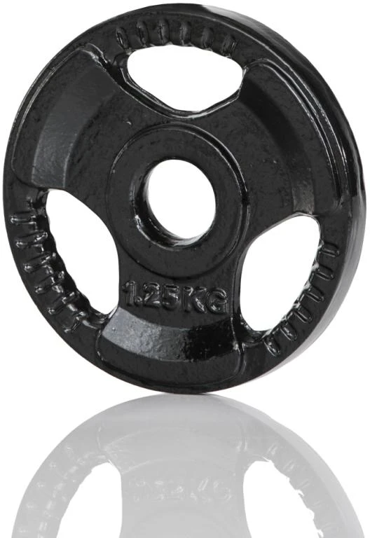 None Ketaus svarmenys GYMSTICK 1,25-20kg (Svoris: 1.25 kg)