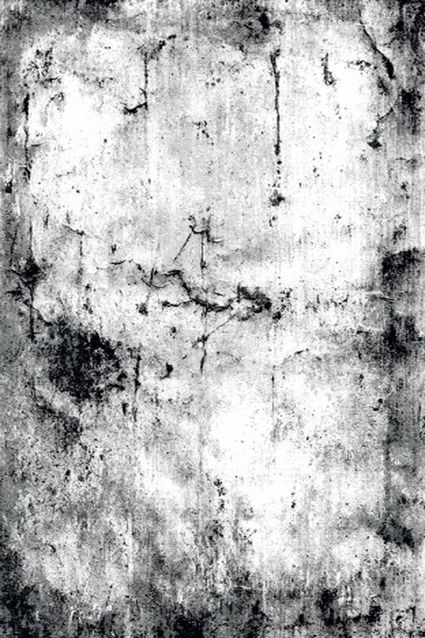Paklājs Domoletti Timeles 7690a/c0847, balta krās./melna krās., 240 cm x 160 cm