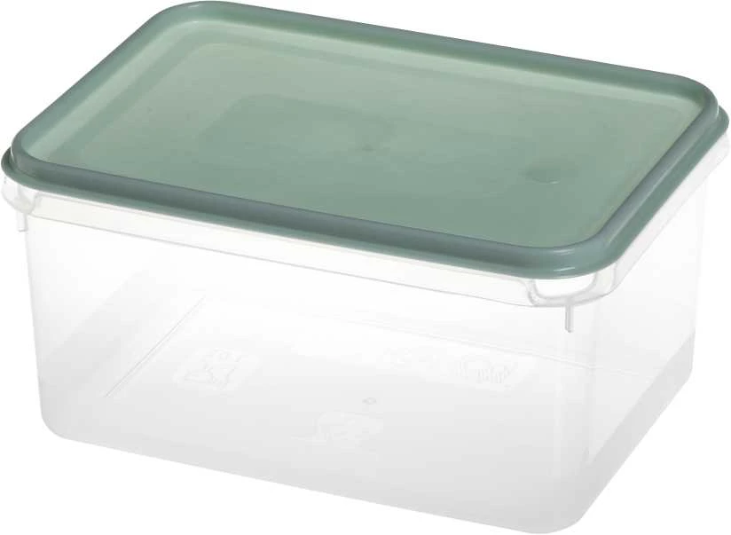Dėžutė maistui Okko 003301484, 3 l