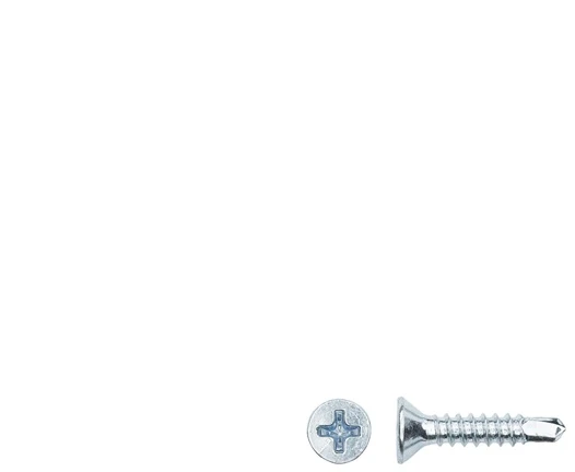 Haushalt E Normpro SELF SCREW 3,9X19 DIN7504P ZN 30PCS