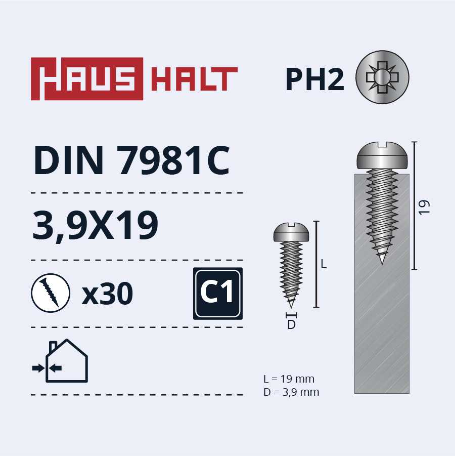 Savisriegiai Haushalt, DIN7981C, 3,9 x 19 mm, 30 vnt.