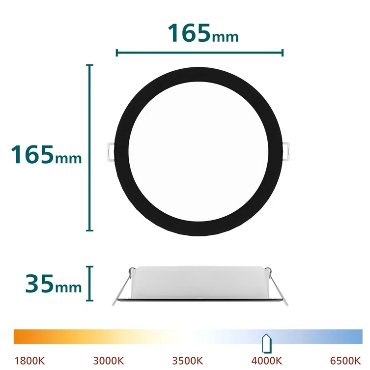 „Philips“ LED įleidžiamas šviestuvas. 16,5 W. 4000 K. Ø15. juodas