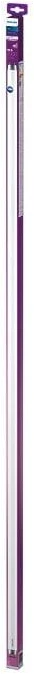Philips LEMPUTĖ LED T8 16W G13 840 1600LM 1200MM