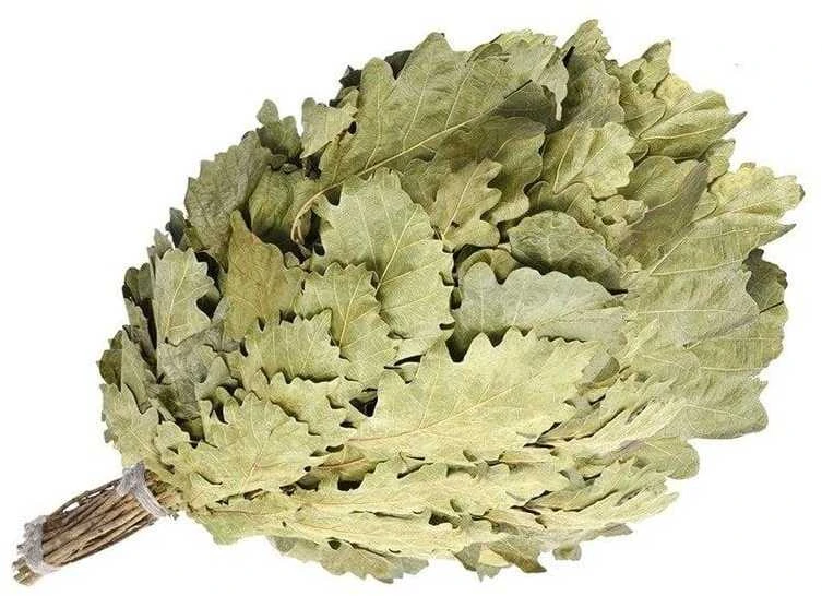 Urban Outdoor Miesto lauko pirties šluotelė „WHISH OAK LUX FLAMMIFERA“