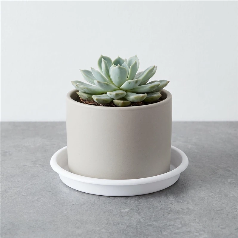 Plast. vazono lėkštė DOMOLETTI STTE0013-110. DIA13 cm. balta