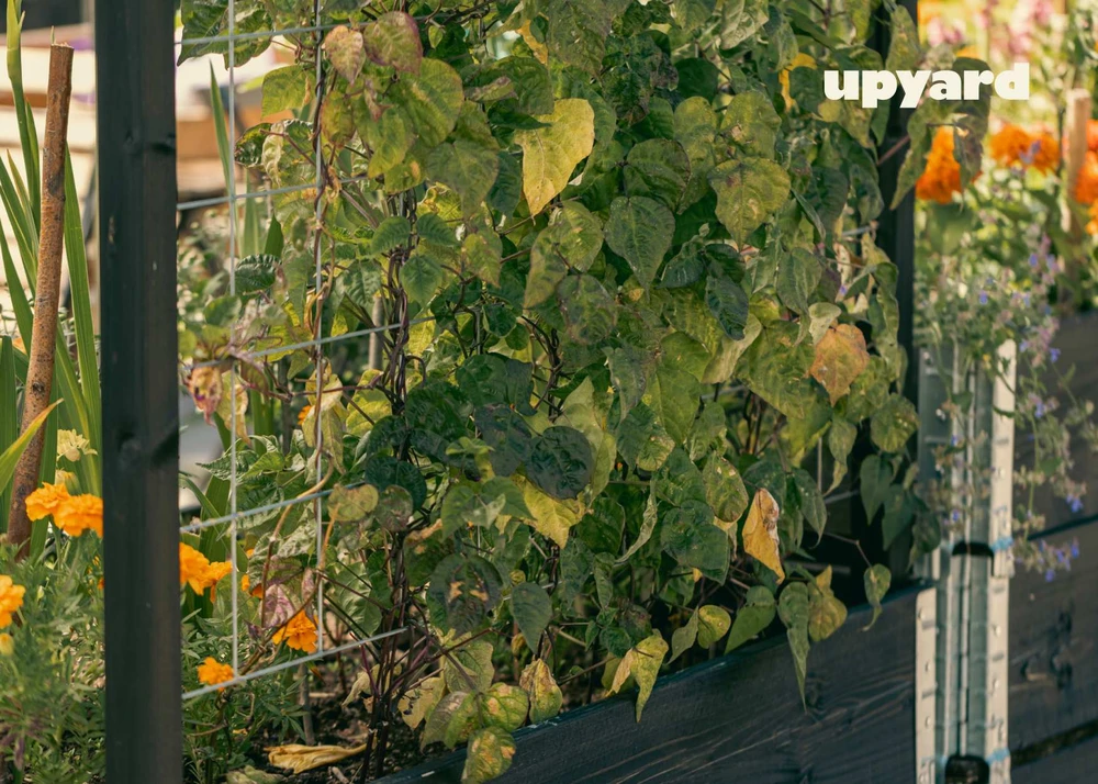 Priedas Upyard RTS Juodas, 1180 mm x 41 mm