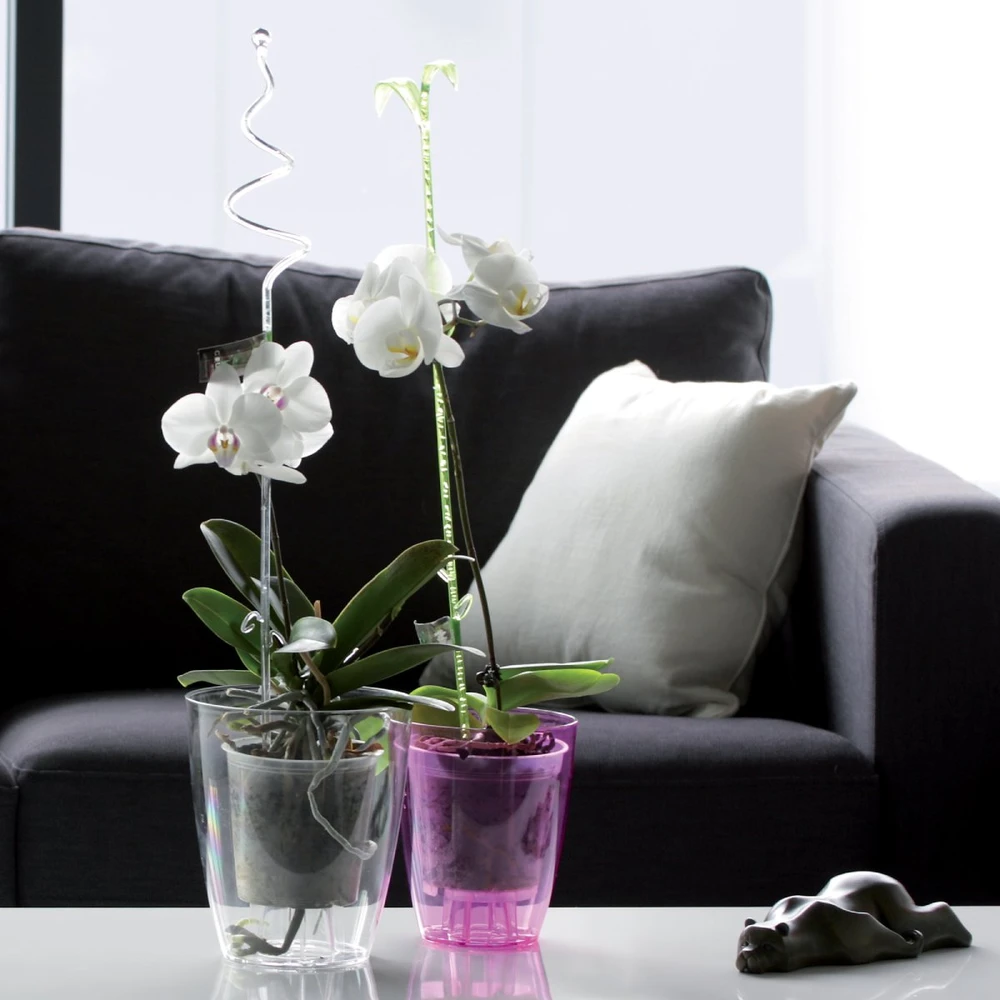 Osłonka Coubi 16 cm violetinė PROSPERPLAST
