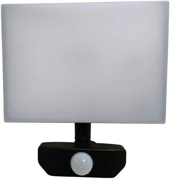 Standartinis LED prožektorius FLOODLIHGT 30W 4000K 3279LM IP65 PIR
