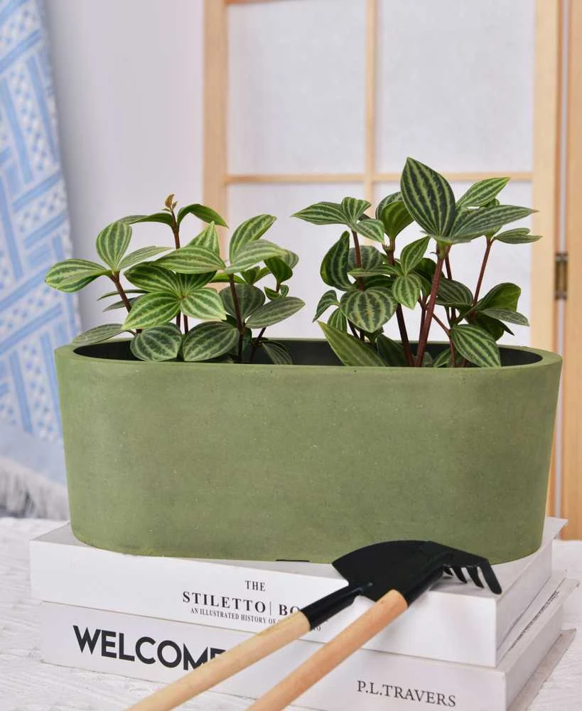 Greenship Gėlių vazonas Domoletti M-18C32, žydras, 32 cm x 16 cm, žalias