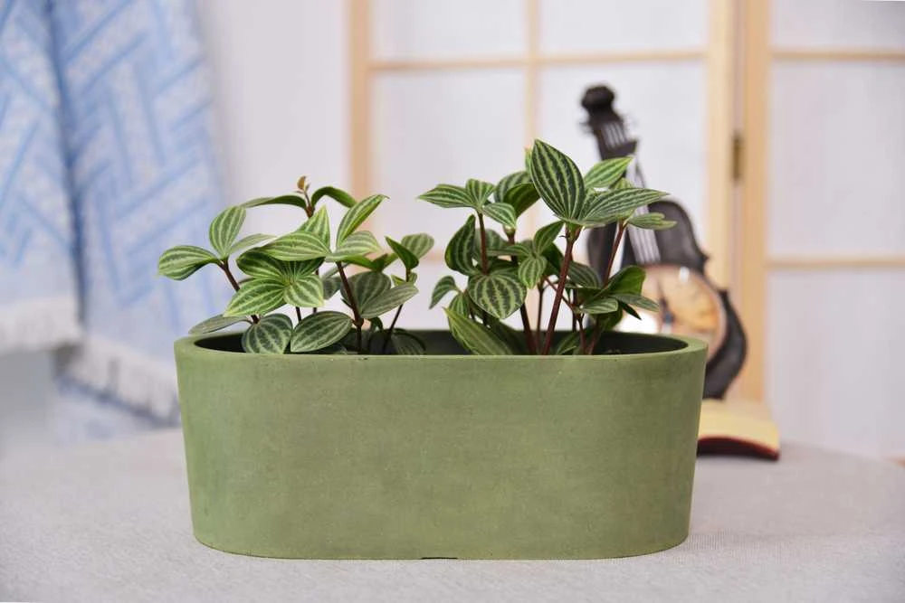 Greenship Gėlių vazonas Domoletti M-18C32, žydras, 32 cm x 16 cm, žalias