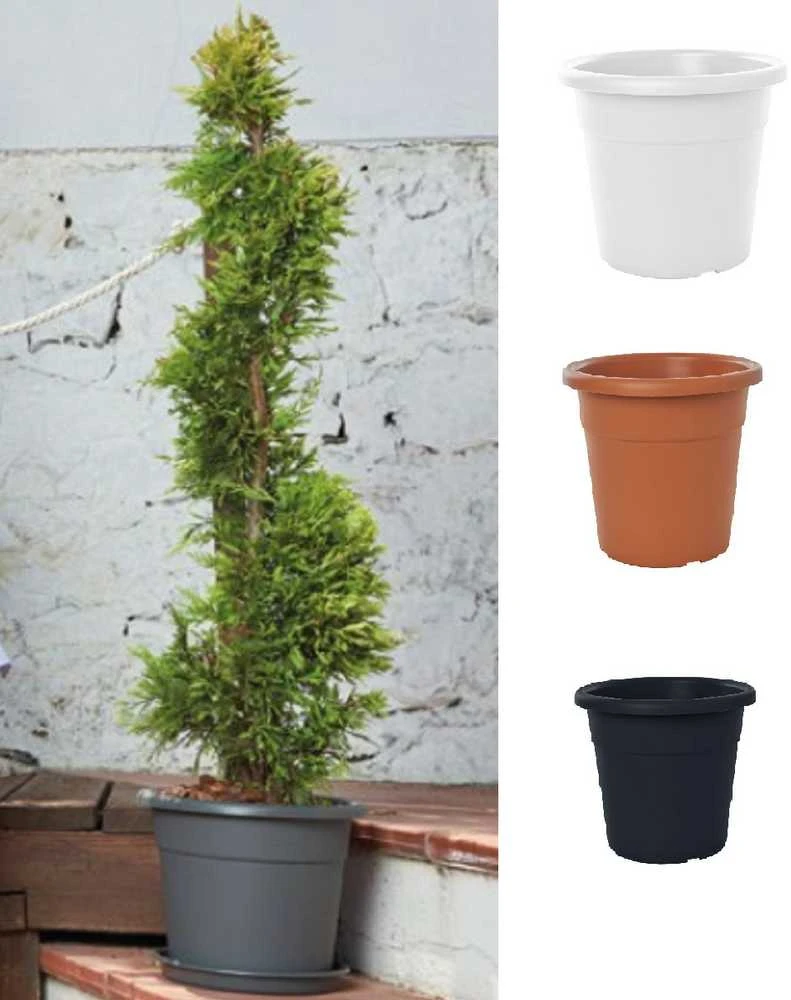 Lumarko PLASTIC POT MA000050 -120 ANTHRACITE