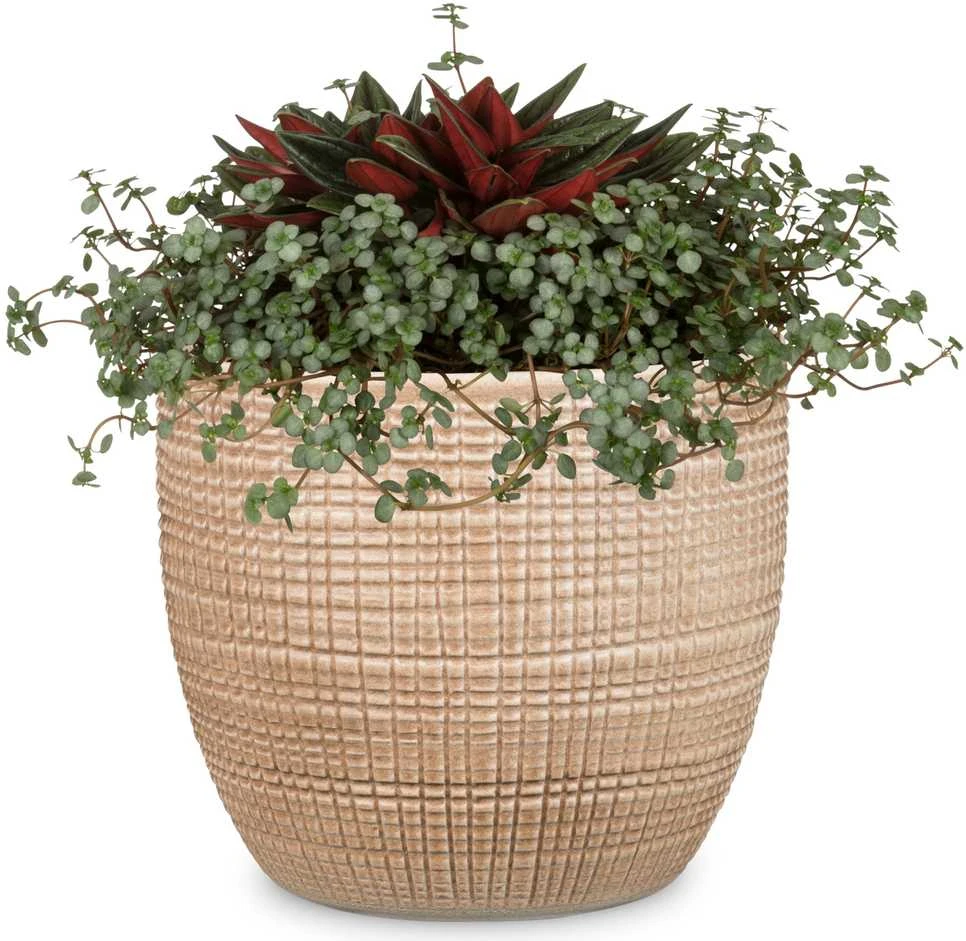 Scheurich FLOWER POT 866/19 CANELA D19