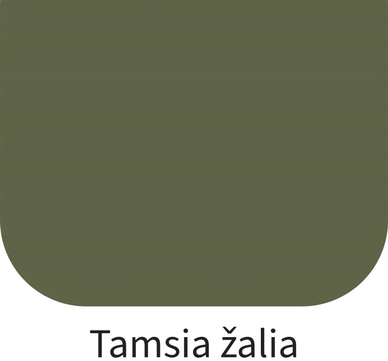 Dažai Rilak AKVATOP žalia tamsūs 3.6 L