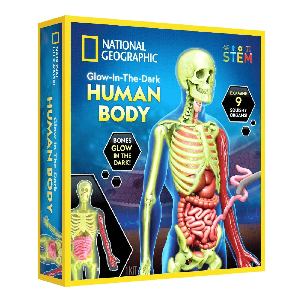 Mikroskopas NATIONAL GEOGRAPHIC rinkinys Švytintis tamsoje žmogaus kūnas, NYKŠTIS