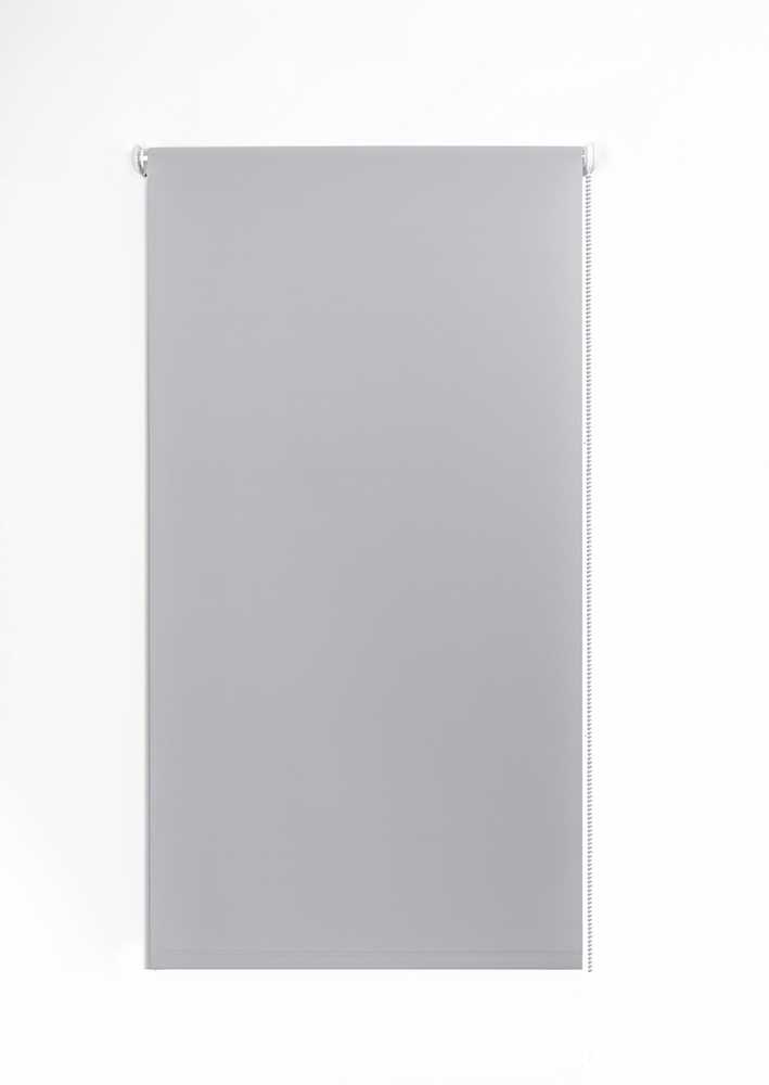 Ritininė užuolaida Domoletti Rainbow 210 210, pilka sp./violetinė sp., 120 cm x 220 cm