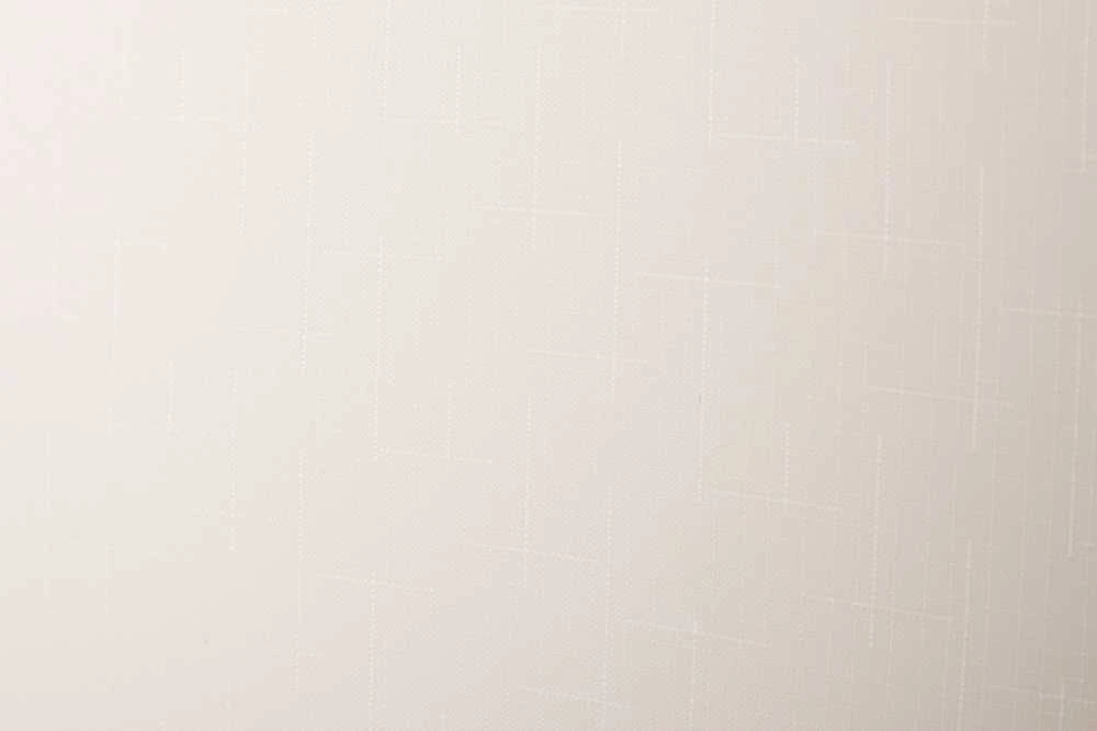 Domoletti ROLLER BLIND SHANTUNG 875 140X170