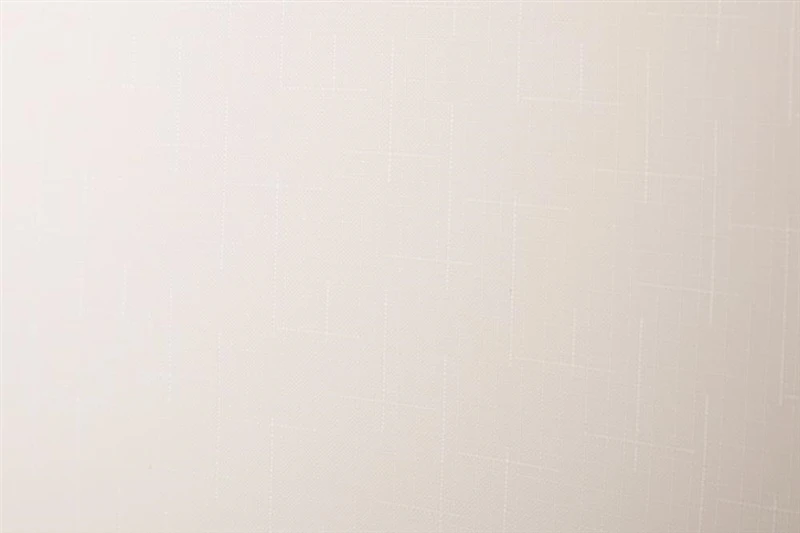 Domoletti ROLLER BLIND SHANTUNG 875 100X170