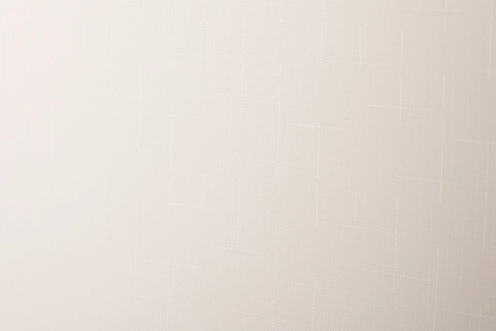 Domoletti ROLLER BLIND SHANTUNG 875 100X170