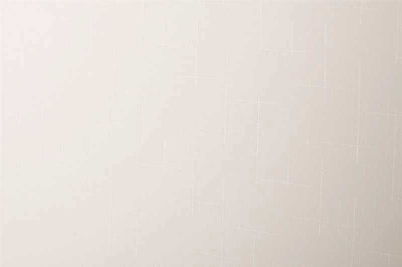 Domoletti ROLLER BLIND SHANTUNG 875 60X170