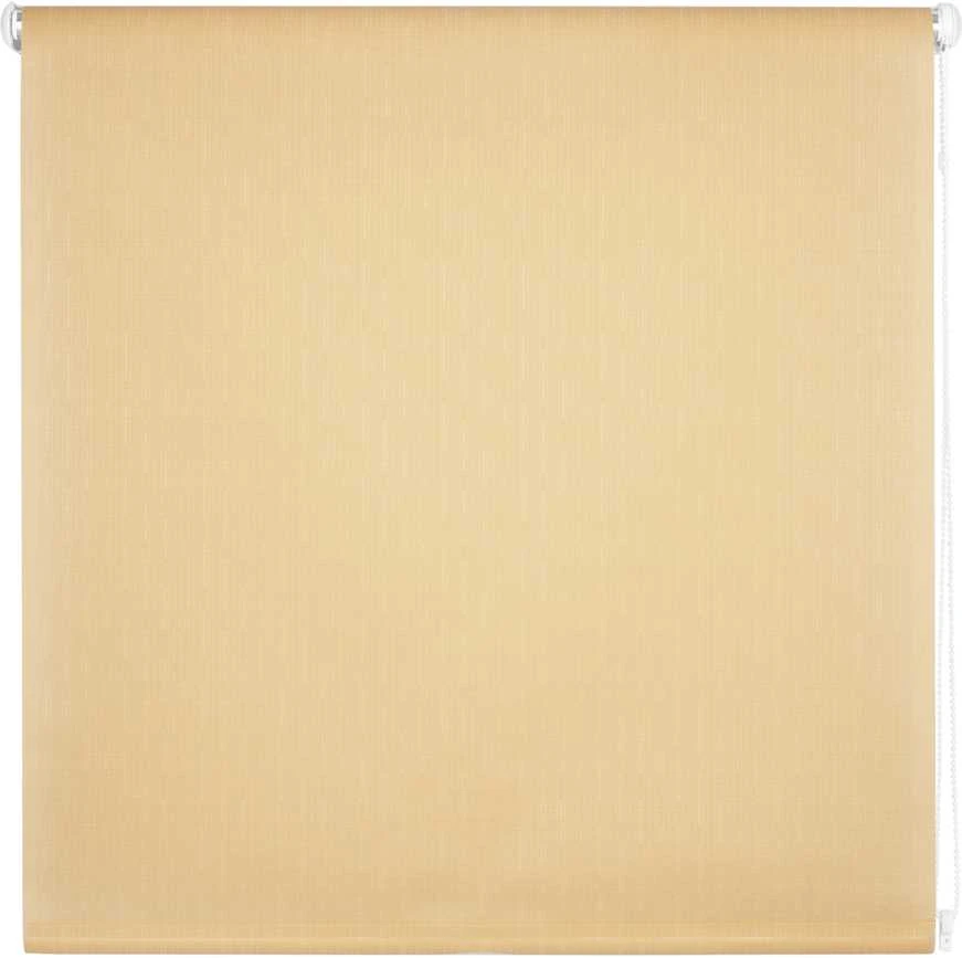 Domoletti ROLLER BLIND SHANTUNG 877 100X170