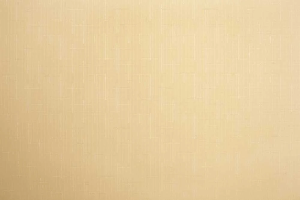 Domoletti ROLLER BLIND SHANTUNG 877 90X230