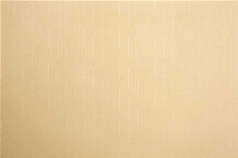 Domoletti ROLLER BLIND SHANTUNG 877 120X170