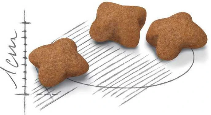 Royal Canin kačiukas sterilizuotas 400g