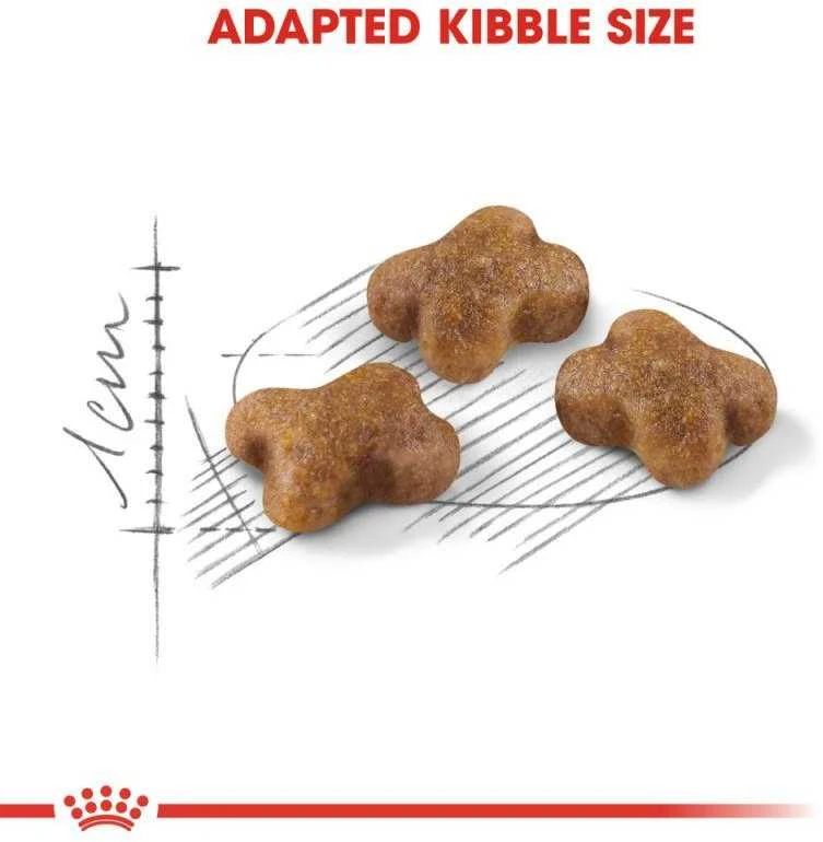Royal Canin Kitten 2kg