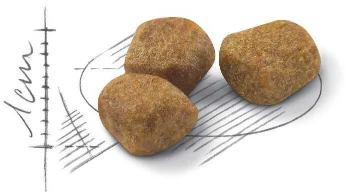 Royal Canin FHN kačių maistas patalpoms (7+) 1,5kg