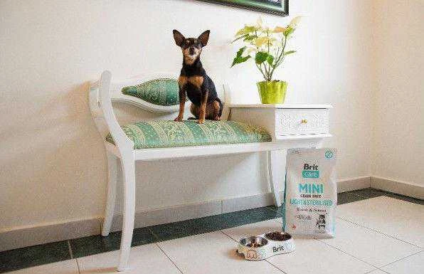 Brit Care Dog Mini lengvas ir sterilizuotas 2kg