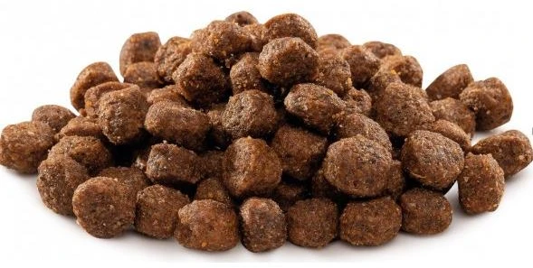 BRIT PREMIUM Dog by Nature Adult S 1kg