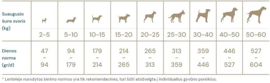 QUATTRO sausas visų veislių suaugusių šunų pašaras Extra ėriena (45ft), 3kg