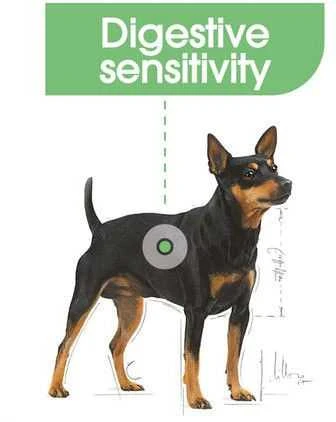 Royal Canin Mini Digestive Care 3kg