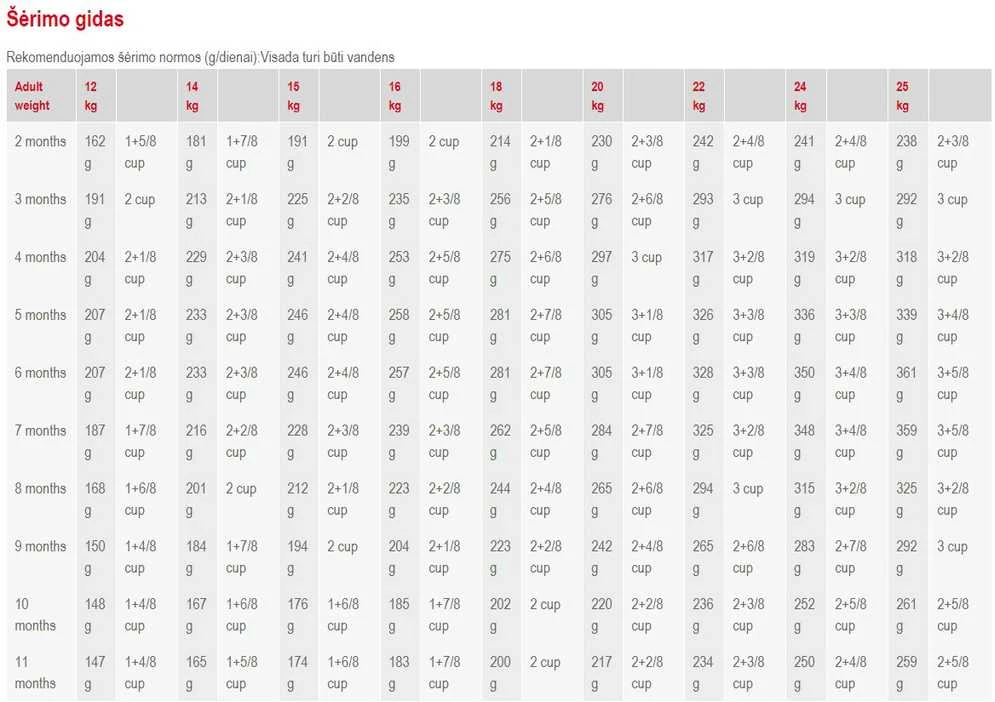Royal Canin Medium Junior 4kg