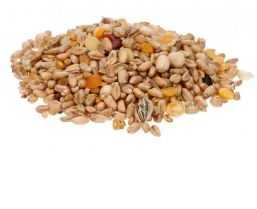 Baltic Agro Paukščių lesalas, sėklų mišinys, 4kg
