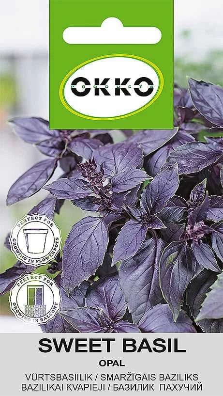 Okko Kvapiųjų bazilikų OPAL sėklos