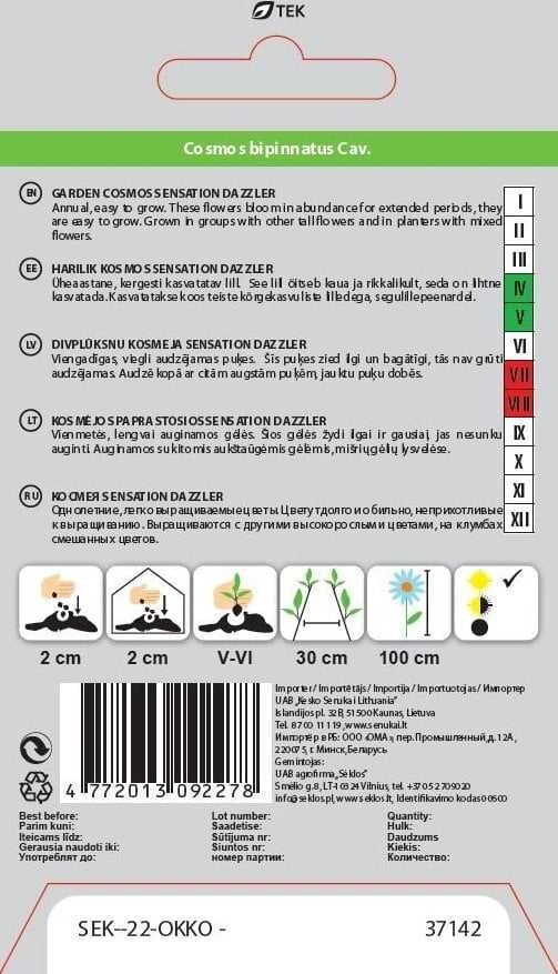 Okko kosmejų sėklos „Sensation Dazzler“, 1 g