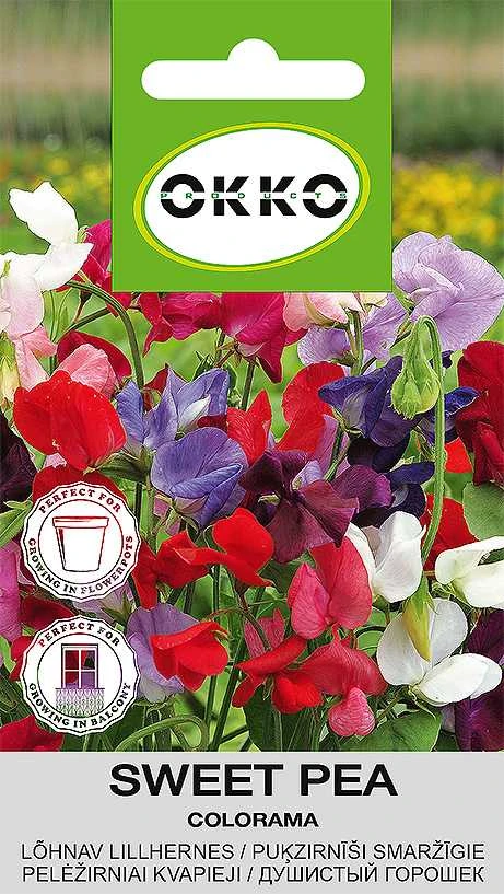Plačialapės koloramos (Okko) sėklos, 2 g