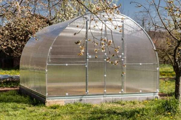 Meistro Kodas Arkinis šiltnamis KLASIKA TUBE 12 m2 4 mm danga 3 x 4 m (12 m2)