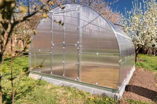 Meistro Kodas Arkinis šiltnamis KLASIKA TUBE 12 m2 4 mm danga 3 x 4 m (12 m2)