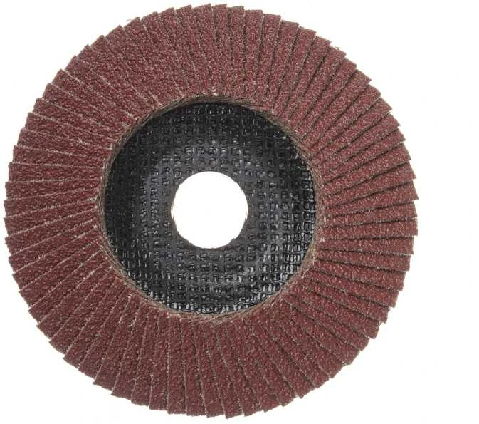 Forte_Tools Žiedlapinis šlifavimo diskas Forte tools, 125x22.23 mm