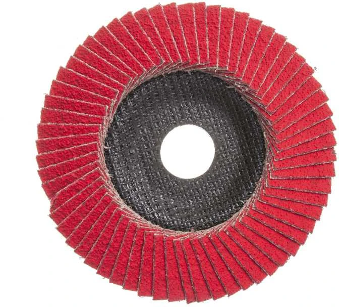 Forte_Tools Žiedlapinis šlifavimo diskas Forte tools, 125x22.23 mm